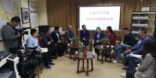 大同長城保護(hù)條例 文化沙龍第三期共獻(xiàn)良策，藝術(shù)活動策劃為保護(hù)賦能